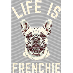 Animal Text Series-AT 3581